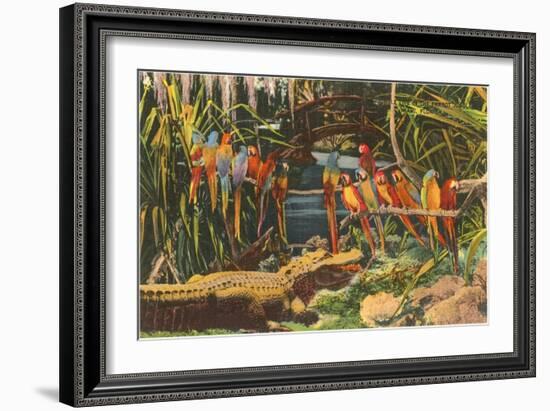 Macaws and Alligator, Florida-null-Framed Premium Giclee Print