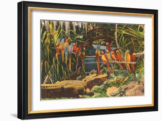 Macaws and Alligator, Florida-null-Framed Premium Giclee Print