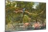 Macaws, Flamingos, Cockatoo, Florida-null-Mounted Art Print