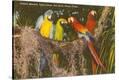 Stretched Canvas Print