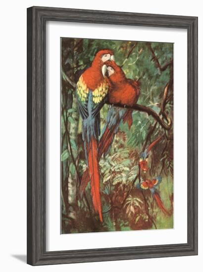 Macaws Nuzzling in Jungle-null-Framed Art Print