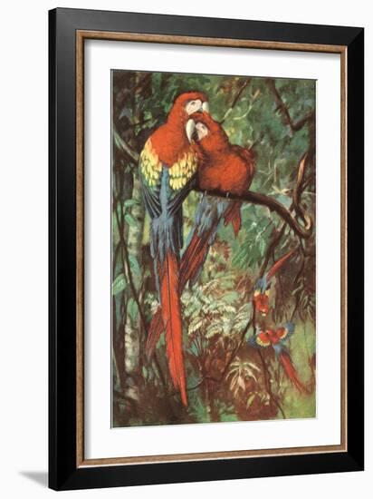 Macaws Nuzzling in Jungle-null-Framed Art Print