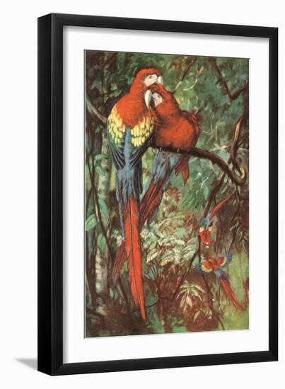 Macaws Nuzzling in Jungle-null-Framed Art Print