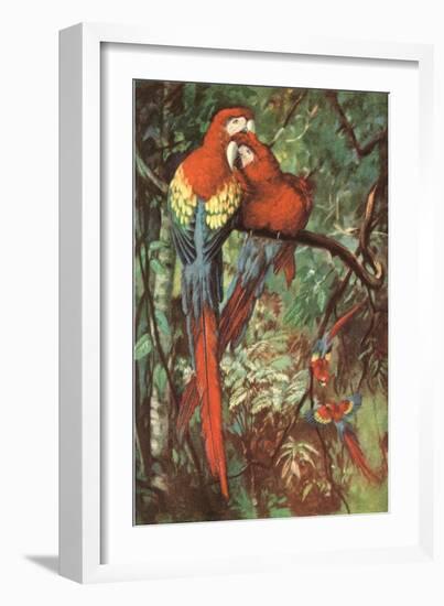 Macaws Nuzzling in Jungle-null-Framed Art Print