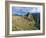 Macchu Pichu, Peru-Gavin Hellier-Framed Photographic Print