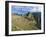 Macchu Pichu, Peru-Gavin Hellier-Framed Photographic Print