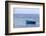 Macedonia, Ohrid and Lake Ohrid. Blue Fishing Boat-Emily Wilson-Framed Photographic Print