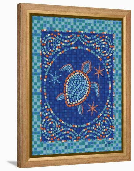 Macedonia Reef Turtle-Teresa Woo-Framed Stretched Canvas