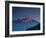 Machapuchare (Machhapuchhre) (Fish Tail) Mountain, in the Annapurna Himal of North Central Nepal, N-Mark Chivers-Framed Photographic Print