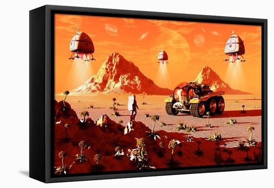 Stretched Canvas Print, , large