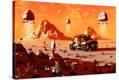 Stretched Canvas Print