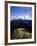 Machu Picchu 1-Charles Bowman-Framed Photographic Print