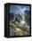 Machu Picchu in Morning Fog-Darrell Gulin-Framed Premier Image Canvas