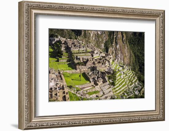 Machu Picchu Inca Ruins, UNESCO World Heritage Site, Cusco Region, Peru, South America-Matthew Williams-Ellis-Framed Photographic Print