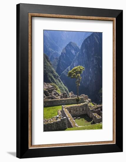 Machu Picchu Inca Ruins, UNESCO World Heritage Site, Cusco Region, Peru, South America-Matthew Williams-Ellis-Framed Photographic Print