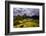 Machu Picchu Incan Ruins, UNESCO World Heritage Site, Sacred Valley, Peru, South America-Laura Grier-Framed Photographic Print