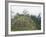 Machu Picchu, Lost City of the Incas, Peru-Doug Allan-Framed Photographic Print