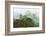 Machu Picchu Mist-Scott Bennion-Framed Photo