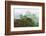 Machu Picchu Mist-Scott Bennion-Framed Photo