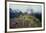 Machu Picchu Peru Photo Poster-null-Framed Photo