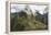 Machu Picchu, Peru-Matthew Oldfield-Framed Premier Image Canvas