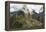 Machu Picchu, Peru-Matthew Oldfield-Framed Premier Image Canvas