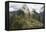 Machu Picchu, Peru-Matthew Oldfield-Framed Premier Image Canvas