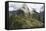 Machu Picchu, Peru-Matthew Oldfield-Framed Premier Image Canvas