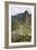 Machu Picchu, Peru-Matthew Oldfield-Framed Photographic Print