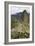 Machu Picchu, Peru-Matthew Oldfield-Framed Photographic Print