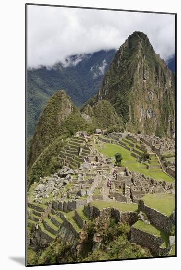 Machu Picchu, Peru-Matthew Oldfield-Mounted Photographic Print