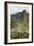 Machu Picchu, Peru-Matthew Oldfield-Framed Photographic Print