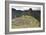 Machu Picchu, Peru-Matthew Oldfield-Framed Photographic Print