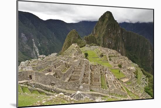 Machu Picchu, Peru-Matthew Oldfield-Mounted Photographic Print