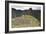 Machu Picchu, Peru-Matthew Oldfield-Framed Photographic Print