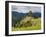 Machu Picchu Ruins, UNESCO World Heritage Site, Cusco Region, Peru, South America-Karol Kozlowski-Framed Photographic Print