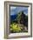 Machu Picchu Ruins, UNESCO World Heritage Site, Cusco Region, Peru, South America-Karol Kozlowski-Framed Photographic Print