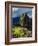 Machu Picchu Ruins, UNESCO World Heritage Site, Cusco Region, Peru, South America-Karol Kozlowski-Framed Photographic Print