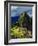 Machu Picchu Ruins, UNESCO World Heritage Site, Cusco Region, Peru, South America-Karol Kozlowski-Framed Photographic Print