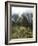 Machu Picchu, UNESCO World Heritage Site, Peru, South America-McCoy Aaron-Framed Photographic Print