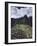 Machu Picchu-David Nunuk-Framed Photographic Print