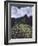 Machu Picchu-David Nunuk-Framed Photographic Print