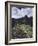 Machu Picchu-David Nunuk-Framed Photographic Print