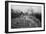 Machu Pichu Peru B/W-null-Framed Photo