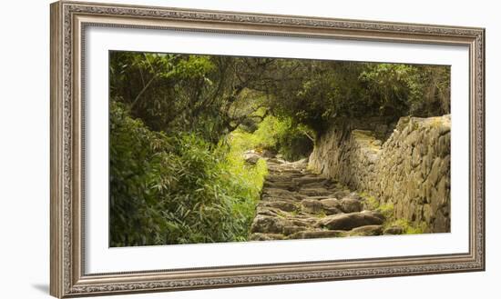 Machu Pichu, Peru. Path to the Sun Gate.-Janet Muir-Framed Photographic Print