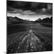 Photographic Print