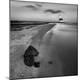 Premium Photographic Print
