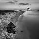 Premium Photographic Print