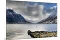 Photographic Print