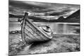 Photographic Print